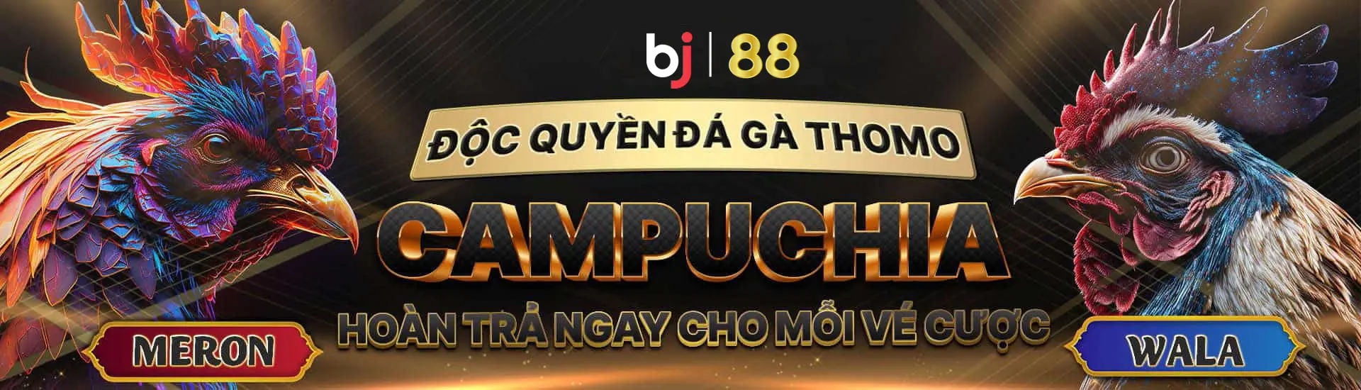 bannerlogo